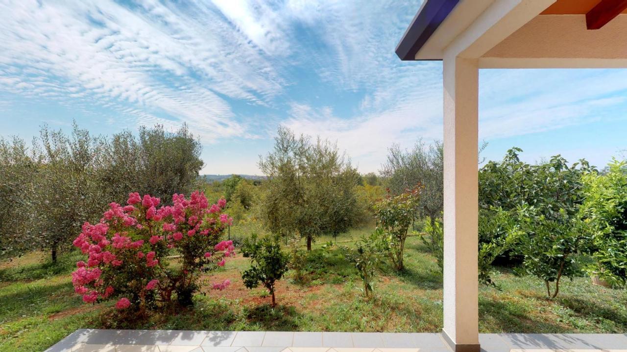 Apartments Goga Umag Zewnętrze zdjęcie